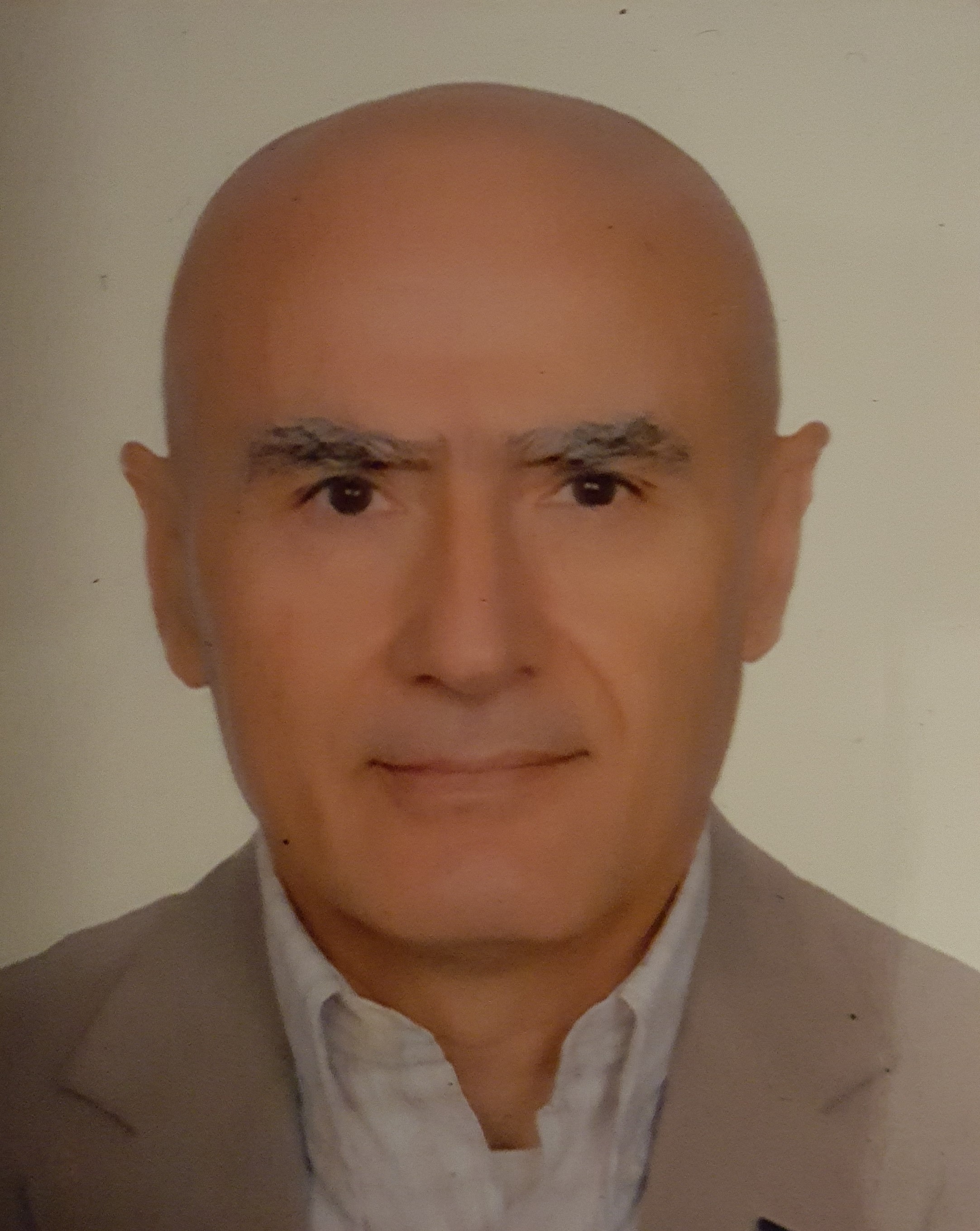 Ayhan Sarıdikmen